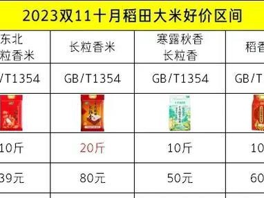 夏日炎炎，轻松应对！（15层大米出装攻略，让你过个清凉夏天）