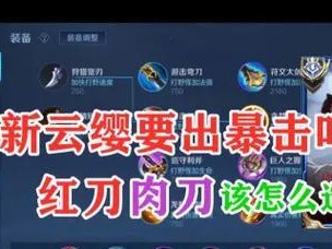 正式服云樱玩法出装攻略（全面解析云樱的出装策略，助你在正式服中登顶最强玩家！）