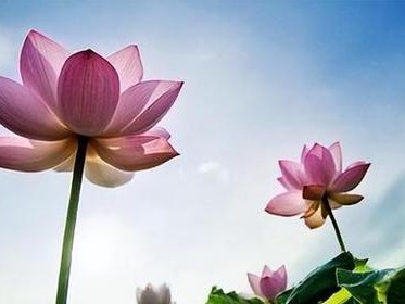 以墨魂辩论赛为战场，技巧攻略助你一战成名（掌握辩论技巧，提升游戏实力；墨魂辩论赛，向成功进军）