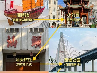 《集名字赢暗翼攻略》（掌握关键技巧，成为暗翼的统治者）