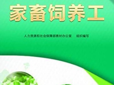 饲养技能大全（从小白到专家，一步步学习成为养宠高手）