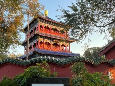 古墓魅影10攻略大全（玩转古墓魅影10，成为真正的探险家！）