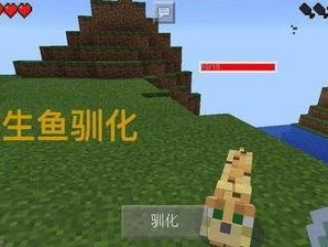 我的世界怎么饲养鱼,打造个性化水族箱，轻松饲养各式鱼类