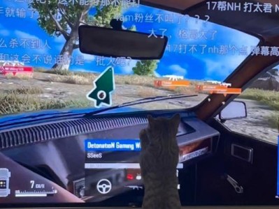小猫咪求生技能搭配攻略（以聪明和灵巧为关键的小猫咪求生之道）