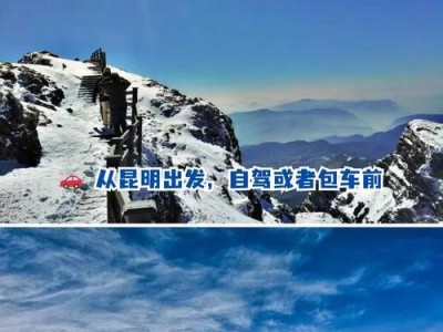 冰雪奇缘85关攻略（冰雪奇缘游戏攻略，85关全解，带你体验惊险刺激的冒险旅程！）