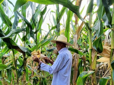 以爸爸活下去经理自动采购攻略（游戏玩家必备，一键轻松实现财富自由）