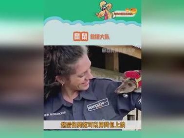 背包幸存者出装攻略（从多方面探索最佳出装策略，让你在游戏中更具竞争力）