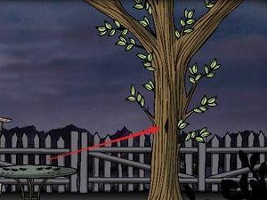 探寻镜湖根源（探索29个引人入胜的景点和活动，带您走进镜湖的魅力世界）