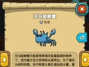 怪兽螃蟹出装攻略大全（怪兽螃蟹如何选择最佳出装？）